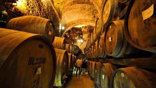 Our Chianti vacation stops at the DeRicci family winery, widely regarded as the most beautiful cellar in the world